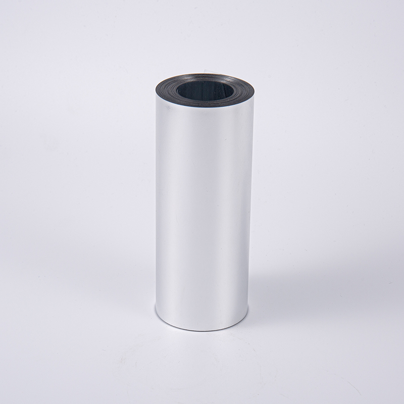 SEFENIN METALLIC SEFECINS